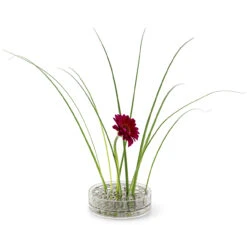 Klong Äng Vaas, Pond -Woondecoratie 40029 02 04 05b3e698be