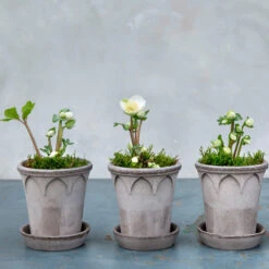 Bergs Potter Elizabeth Pot Ø14 Cm -Woondecoratie 44980 02 02 1ca514c950