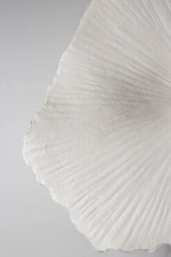 Globen Lighting Tropez Plafondlamp/wandlamp Ø60 Cm -Woondecoratie 502513 01 4 ProductImageDetail e03d17de85