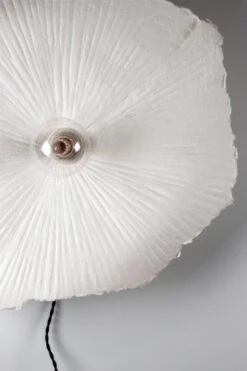 Globen Lighting Tropez Plafonnière/wandlamp Ø80 Cm -Woondecoratie 502537 01 3 ProductImageDetail b5f129ba58