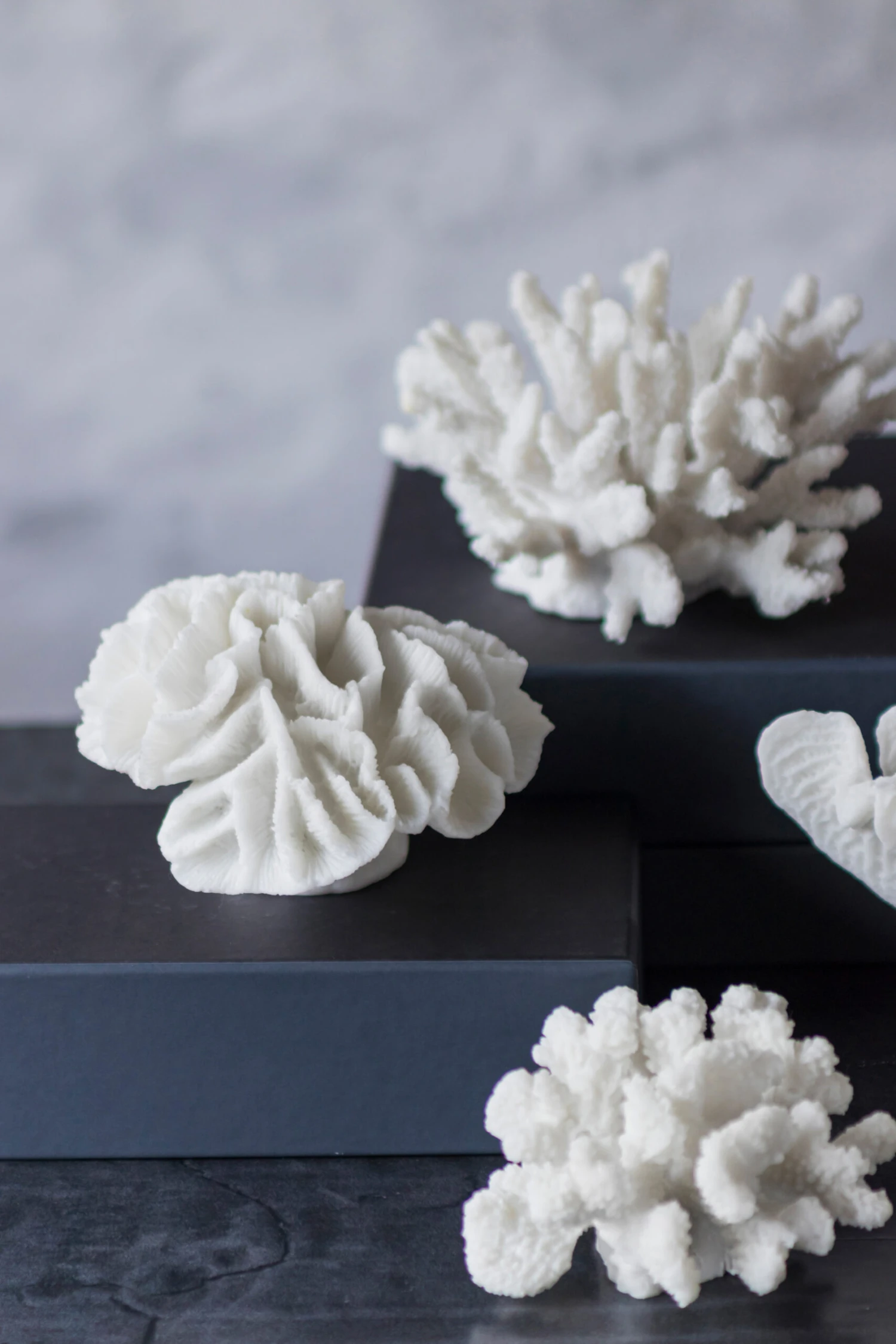 Mette Ditmer Coral Branches White 3 Mette Ditmer Coral Branches White - Afbeelding 3