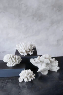 Mette Ditmer Coral Branches White 7 Mette Ditmer Coral Branches White -Woondecoratie 578772 01 42 EnvironmentImage cb3d3f4962
