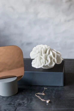 Mette Ditmer Coral Gills -Woondecoratie 578775 01 41 EnvironmentImage de778be22b