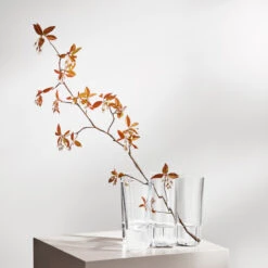 Iittala Alvar Aalto Vaas Helder 17 Iittala Alvar Aalto Vaas Helder -Woondecoratie 999 01 8 EnvironmentImage b16403e1de