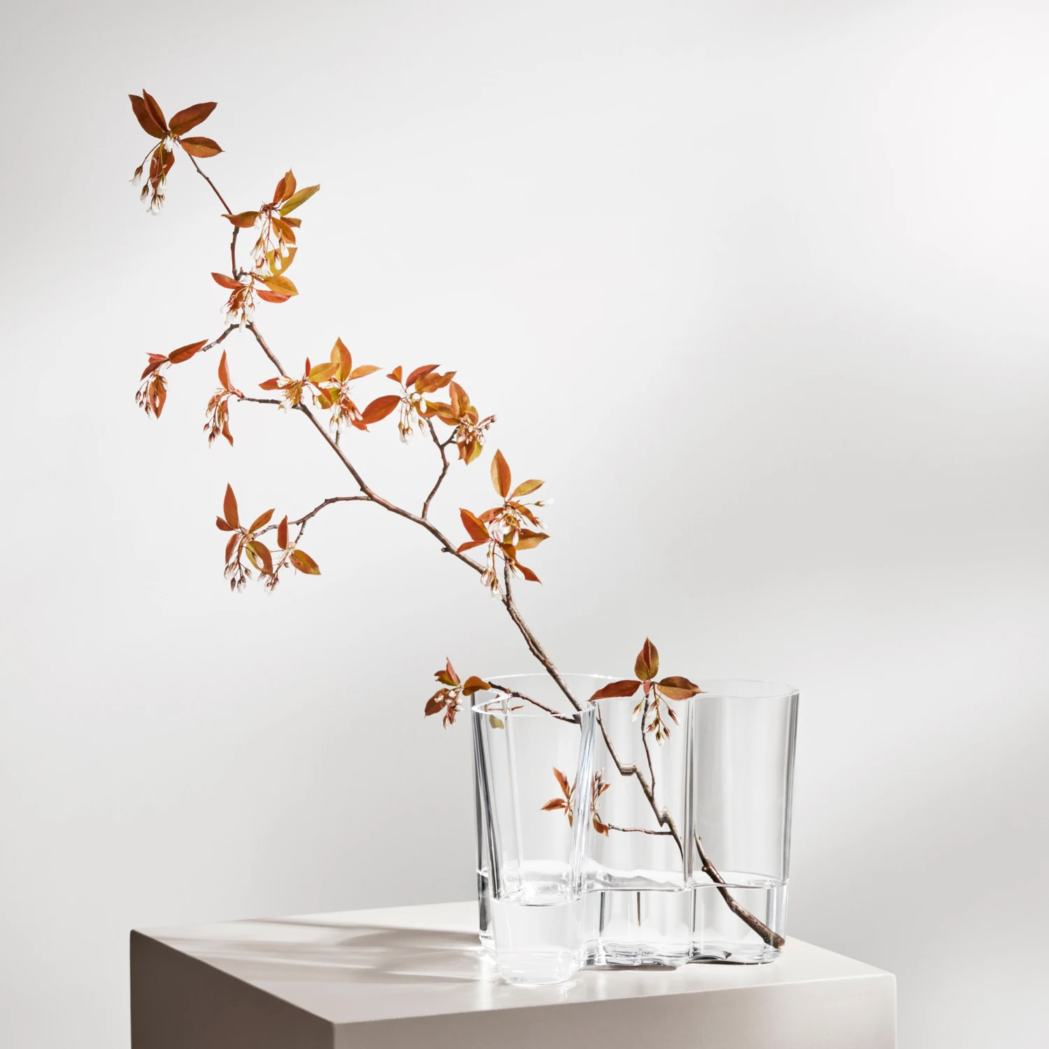 Iittala Alvar Aalto Vaas Helder 9 Iittala Alvar Aalto Vaas Helder - Afbeelding 9